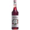 Monin Raspberry Syrup 70cl